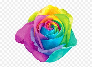 Red Rose With Stem Transparent Png Clip Art Image - Rainbow Rose Transparent