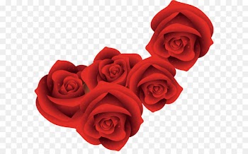 Red Roses 