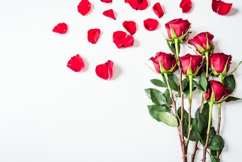 Red roses