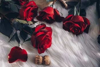 Red Roses And Champagne Cork