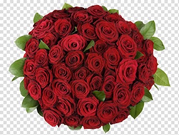Red roses bouquet, Garden roses Flower bouquet Petal, A bouquet of roses transparent background PNG clipart