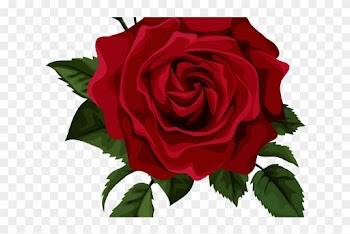 Red Roses Clipart - Rose Transparent