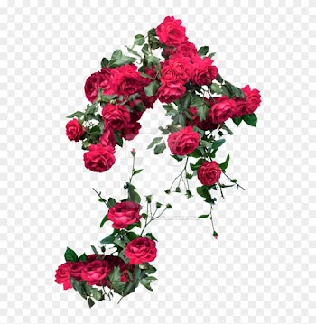 Red Roses Exclusive Pack 2 By Ignisfatuusii - Clipart Rose Vine Png