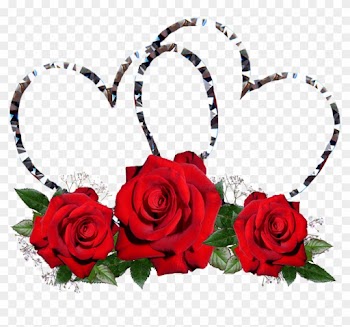 Red Roses, Hearts, Valentine, Romance - Rose