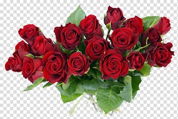 Red roses illustration, Flower bouquet , Rose Bouquet transparent background PNG clipart