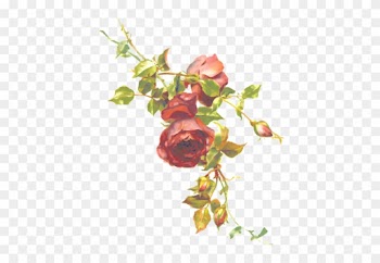 Red Roses On A Branch - Clipart Roses