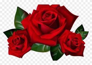 Red Roses Png Clipart Picture Hd Desktop Wallpaper - Transparent Background Red Rose Png