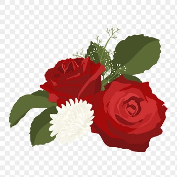 Red roses png clipart, Valentine's | Free PNG - rawpixel