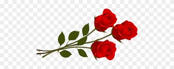 Red Roses - Rose Png Hd