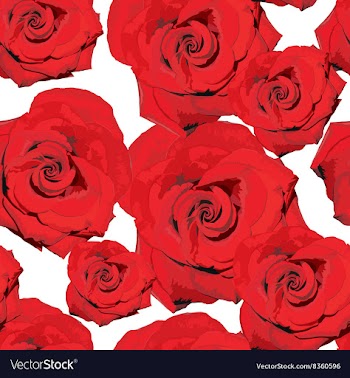 Red Roses Wallpaper vector image