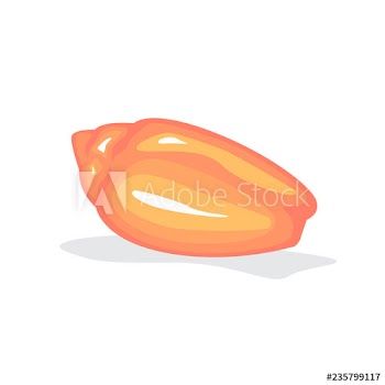 Red seashell