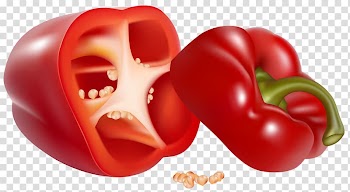 Red sliced bell pepper, Bell pepper Chili pepper Vegetable , Red Pepper transparent background PNG clipart