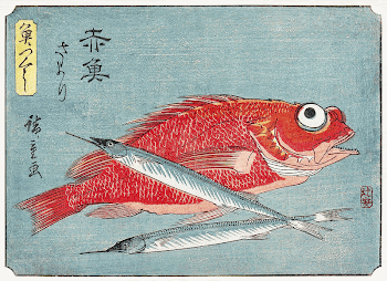 Red Snapper and Halfbeak (1835-1839) | Free Photo Illustration - rawpixel