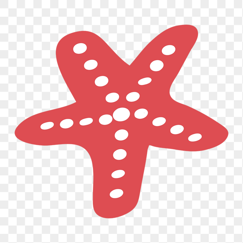 Red starfish png Summer sticker, | Free PNG - rawpixel