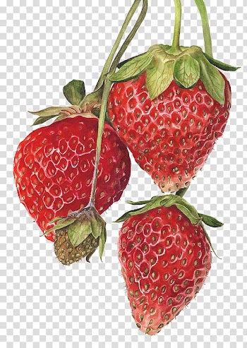 Red strawberry fruit transparent background PNG clipart