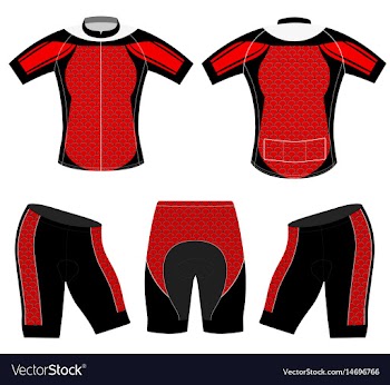Red striped sports t-shirt vector image