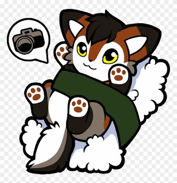 Red Sushi Wolf - Gray Wolf