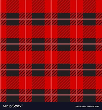 Red Tartan Plaid Pattern vector image