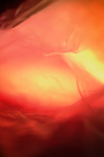 Red Textile on White Textile · Free Stock Photo