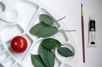 Red Tomato Beside Leaves