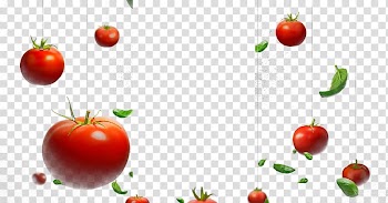 Red tomatoes, Cherry tomato Hamburger Vegetable, tomato transparent background PNG clipart