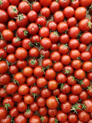 Red Tomatoes on Board