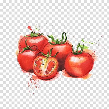 Red tomatoes , Tomato juice Italian cuisine Organic food Tomato purxe9e Tesco, Watercolor tomato transparent background PNG clipart