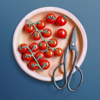 Red tomatoes with Japanese scissors | Free Photo - rawpixel