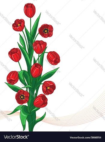  					Red tulip bunch vector image														