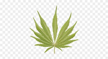 Red Weed Leaf Png Download - Leaf