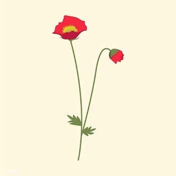 Red Wild Flower Vector Illustration | Free stock vector - 4295