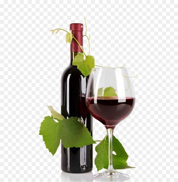 Red Wine Bottle Common Grape Vine - Red Wine 
