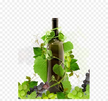 Red Wine Grape - Red Wine 