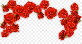 Red Wine Rosxe9 Rose - Red Rose Border 