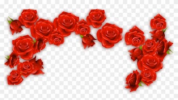 Red Wine Rosxe9 Rose - Red Roses Border Png