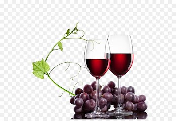 Red Wine White wine Shiraz Wine glass - Red wine glass 