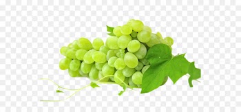 Red Wine White wine Sultana Muscat Sauvignon blanc - A string of grapes 
