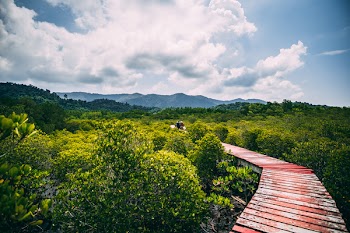 Red Wooden Dock