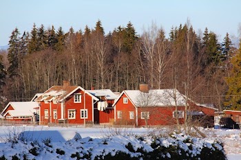 Red Wooden Houses Near Trees