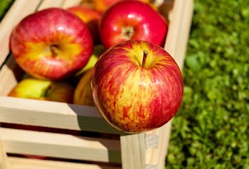 Red Yellow Apples on Wooden Basket