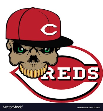 Reds baseball vector image