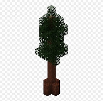 Redwood - Maple Leaf