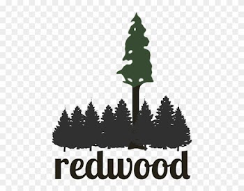 Redwood Tree Clip Art