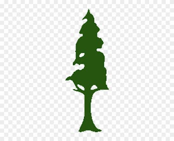 Redwood Tree Clip Art