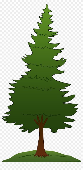 Redwood Tree Clip Art - Clip Art Pine Tree