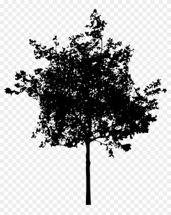 Redwood Tree Silhouette Download - Small Tree Silhouette