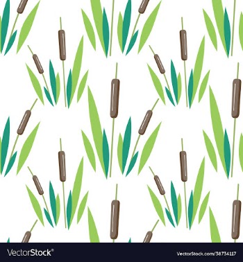 reed cane seamless colored background