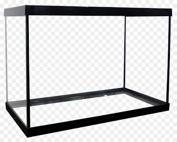 Reef aquarium Gallon Pet Tropical fish - fish tank 
