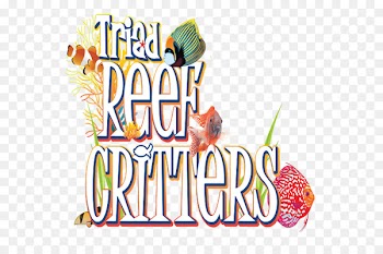 Reef aquarium Petco Animal Supplies Instagram - Marine Invertebrates 