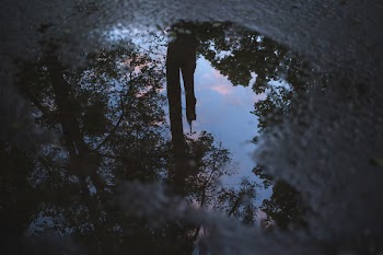 Reflection in the puddle